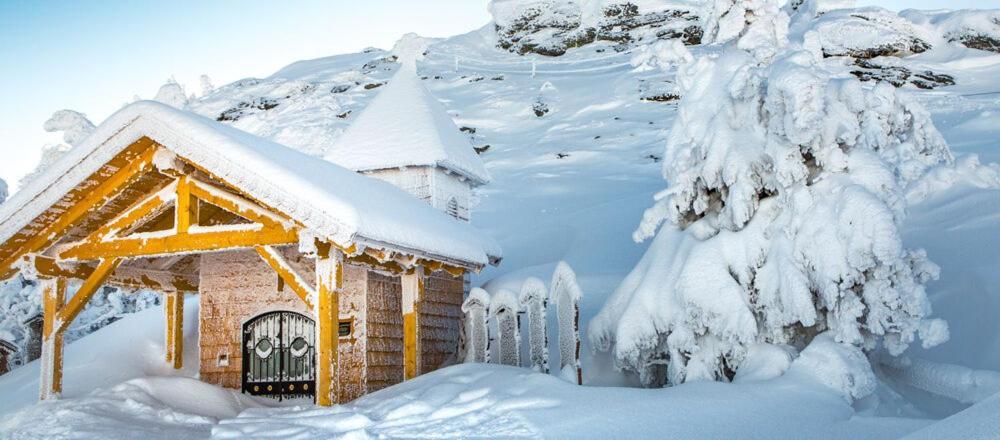 Апартаменти Arber & Wellness Sumava *